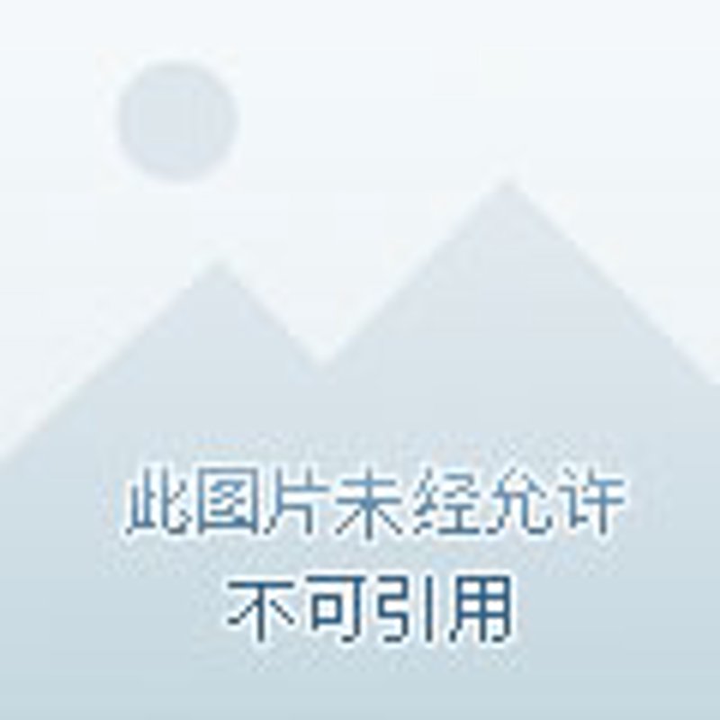 域名服务器服务